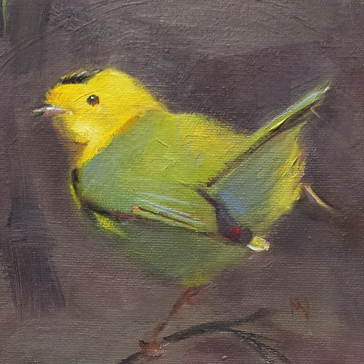 yellow and green small bird