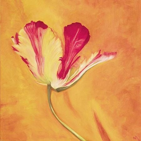 Parrot tulip on yellow background
