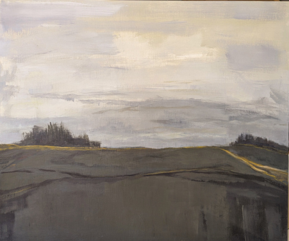 large split 50 50 big sky big land cloudy grays landscape